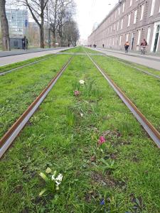 Leentje 07 Sarphatistraat